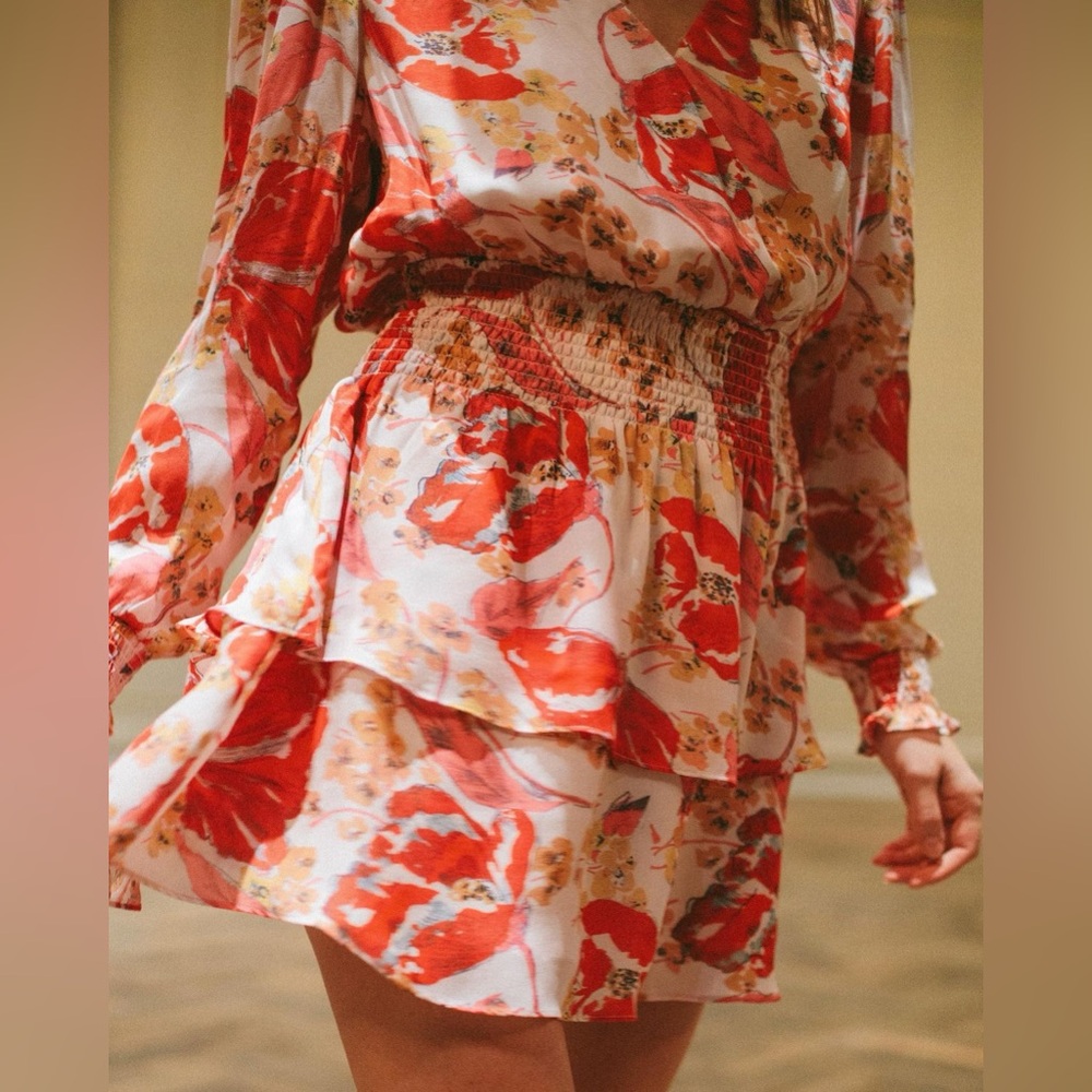 NWT Parker Pink & Red Printed Floral Mini Dress